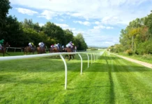 Lingfield