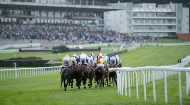 Today’s horse racing tips: race predictions, best bets and preview for Wednesday at Sandown and Yarmouth