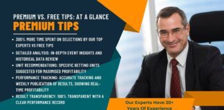 Premium Tips At A Glance Slide