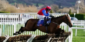 Turners Novices Chase
