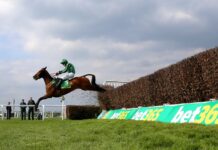 Bet365 Gold Cup