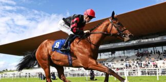 Irish 1000 Guineas Stakes