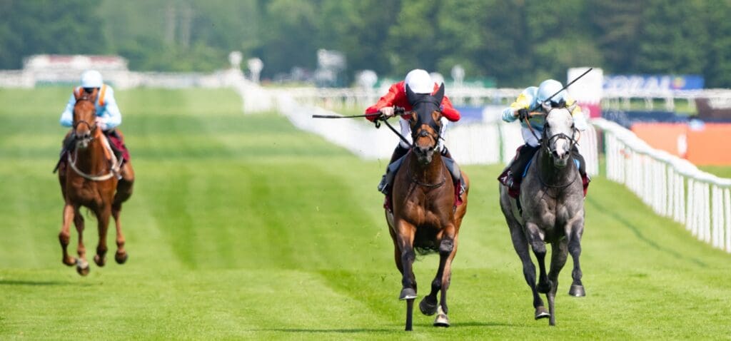 Ascot