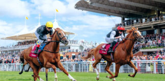 Goodwood