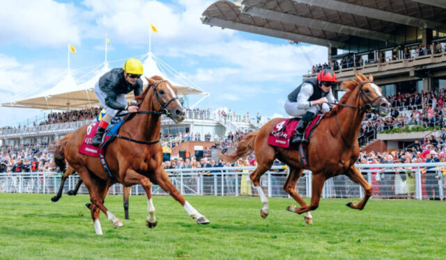 Goodwood