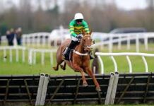 Guinness Galway Hurdle