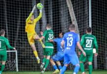 Ludogorets Razgrad