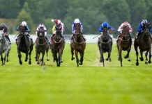 Beverley Bullet