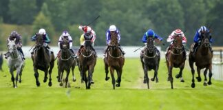 Beverley Bullet