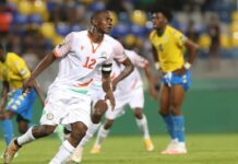 Botswana vs Niger Predictions Niger