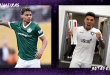 Palmeiras vs Botafogo