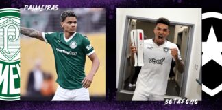 Palmeiras vs Botafogo