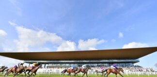 Curragh