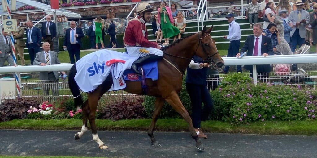 Dash Handicap