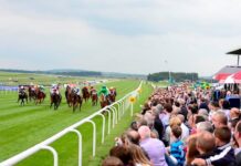 Fairyhouse