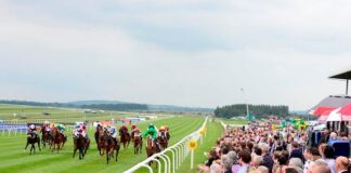 Fairyhouse