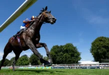 Goodwood
