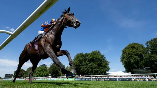 Goodwood