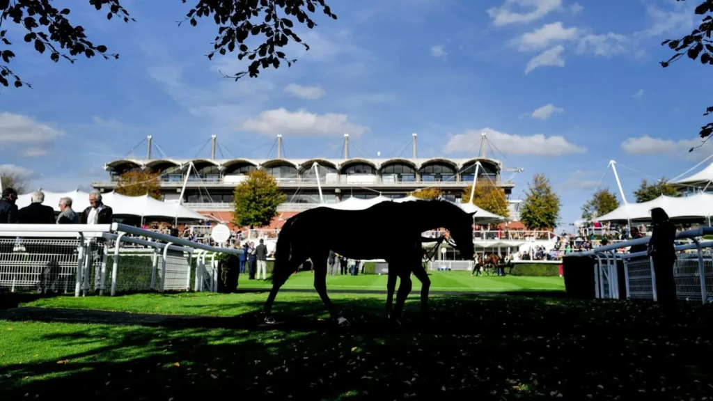Goodwood
