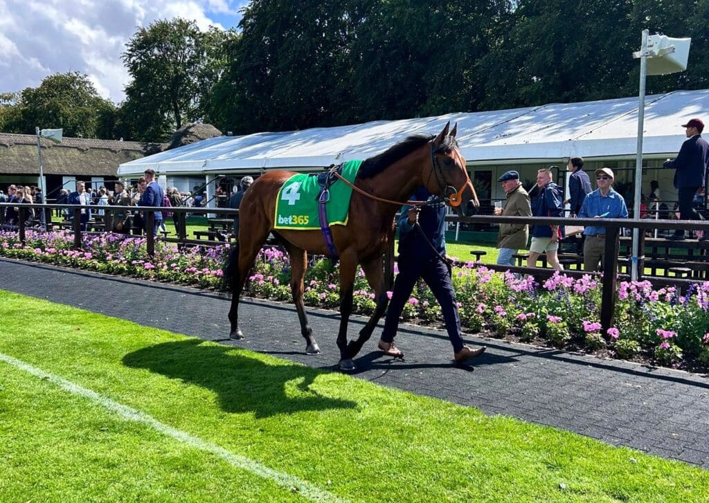 Goodwood