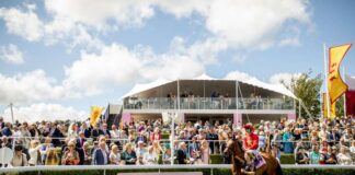 Goodwood