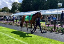 Goodwood