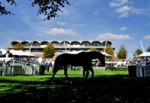 Goodwood