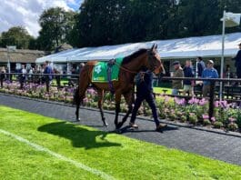 Goodwood