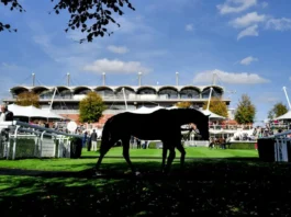Goodwood