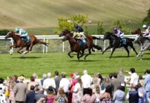 Goodwood