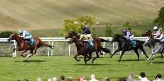 Goodwood