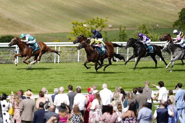 Goodwood