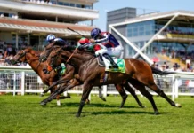 Hackwood Stakes