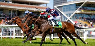 Hackwood Stakes