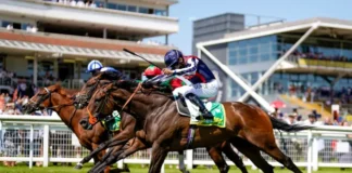 Hackwood Stakes
