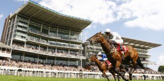 Newmarket