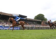 Newmarket