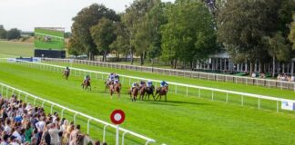 Newmarket