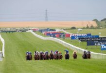 Newmarket