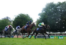 Newmarket