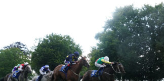 Newmarket