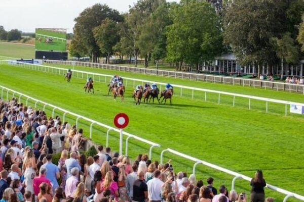 Newmarket