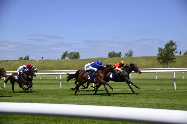 Newmarket