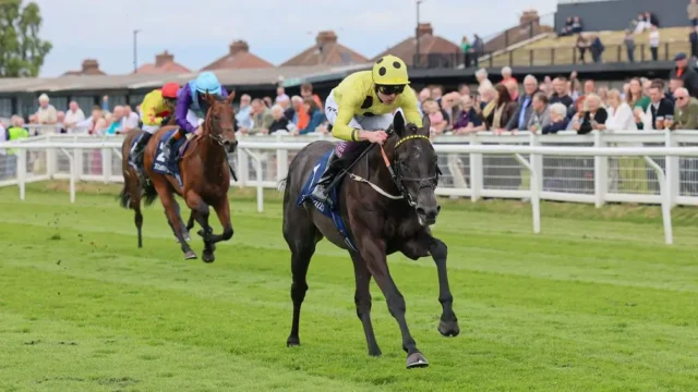 Pat Eddery Stakes