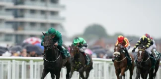 Super Sprint Stakes