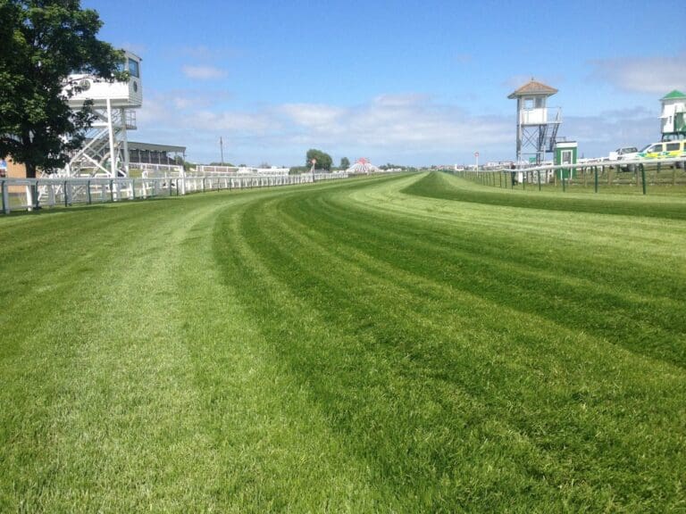 BettingTips4You.com | Free Football Betting Tips & Predictions Yarmouth