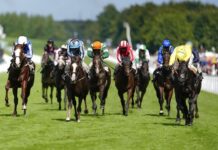 Goodwood