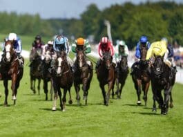 Goodwood
