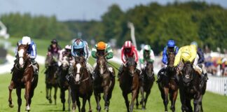 Goodwood