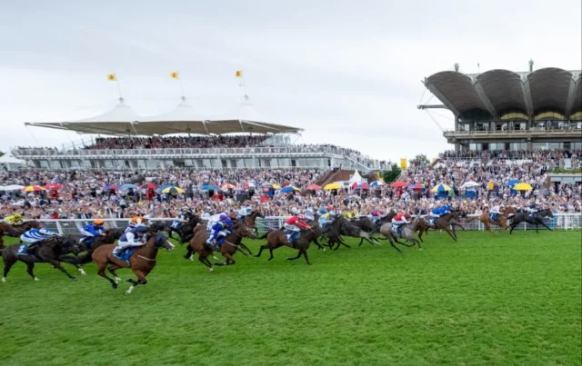 Goodwood Day 5